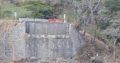 Fiscalía de Jalisco Confirma que  frenó antes de caer en puente de La Desembocada