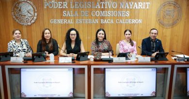 Prepara Congreso mayor defensa legal para víctimas de abuso y violencia vicaria