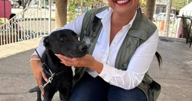 Exitosa jornada de Esterilización en Mezcales