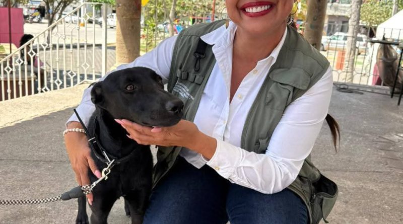 Exitosa jornada de Esterilización en Mezcales