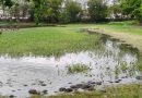 La Laguna del Coapinole comienza a recuperarse tras el estiaje