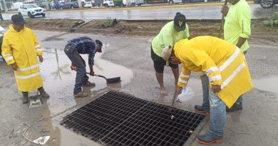 El equipo de SISEP realiza trabajos de mantenimiento en la la avenida 200