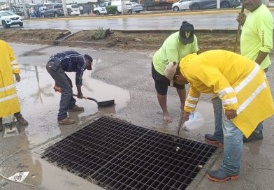 El equipo de SISEP realiza trabajos de mantenimiento en la la avenida 200
