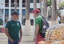 Invaden las casacas verdes el malecón  de Puerto Vallarta 