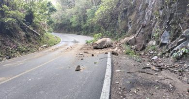 Afectada la circulación vial por nuevos  derrumbes al sur 