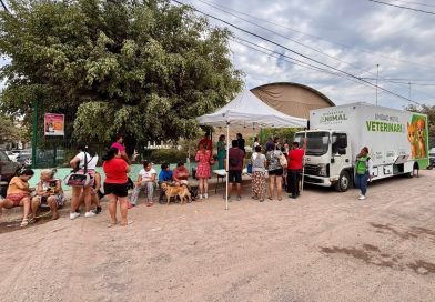 Superan las mil esterilizaciones gratuitas en Puerto Vallarta