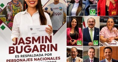 Senadores de Morena, PVEM y PT arropan a Jasmin Bugarin en su aspiración