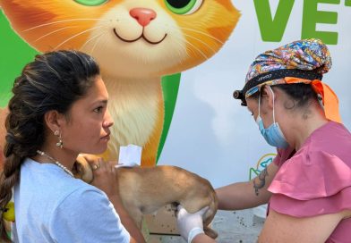 ¡Invita Bienestar Animal a jornadas de adopciones durante julio!
