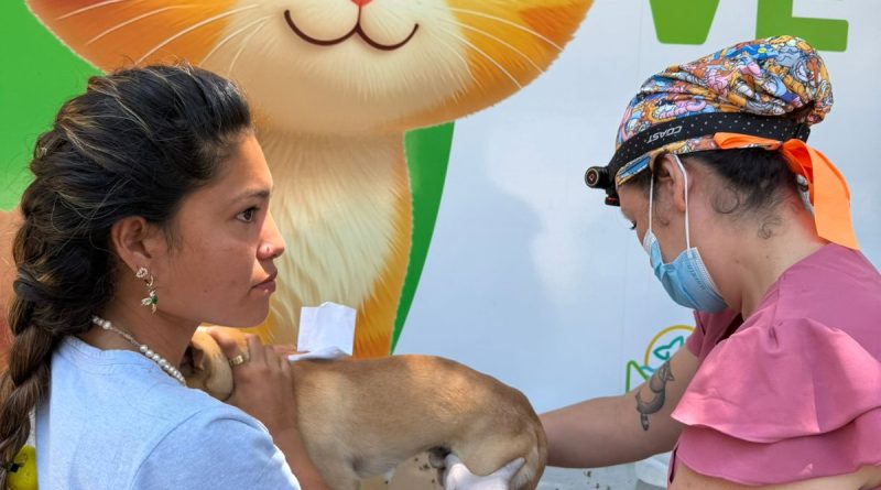 ¡Invita Bienestar Animal a jornadas de adopciones durante julio!