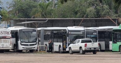 Es una realidad .sistema de transporte eléctrico: llegaron autobuses 