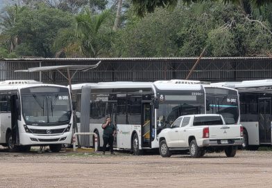 Es una realidad .sistema de transporte eléctrico: llegaron autobuses 