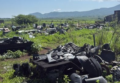 Había casi 180 vehículos en presunto yo que de autos robados 