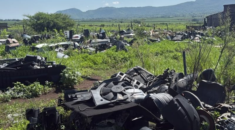 Había casi 180 vehículos en presunto yo que de autos robados 