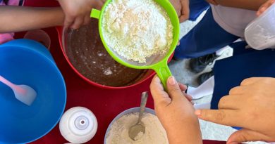 Invitan a los Cursos de Verano en Casa Tucán Joyas del Pedregal