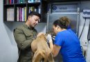 Rescatan a dos perros abandonados y refuerza acciones contra el maltrato animal