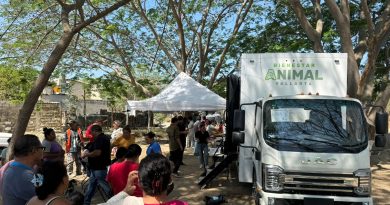 Unidad Móvil Veterinaria llevará esterilizaciones y atención gratuita a colonias durante julio