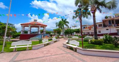 Primer caso de gusano barrenador fue en una persona en situación de calle, aclara Salud Jalisco