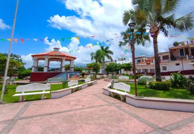 Primer caso de gusano barrenador fue en una persona en situación de calle, aclara Salud Jalisco