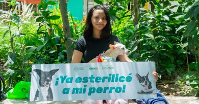 Gobierno Municipal lleva atención veterinaria gratuita a Ixtapa Gobierno Municipal lleva atención veterinaria gratuita a Ixtapa