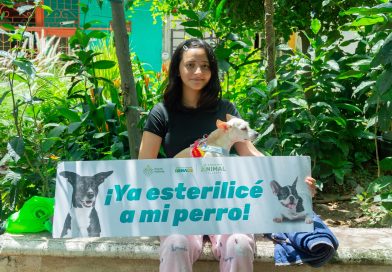 Gobierno Municipal lleva atención veterinaria gratuita a Ixtapa Gobierno Municipal lleva atención veterinaria gratuita a Ixtapa