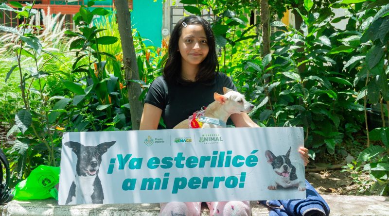 Gobierno Municipal lleva atención veterinaria gratuita a Ixtapa Gobierno Municipal lleva atención veterinaria gratuita a Ixtapa
