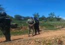 Sitio asegurado en la zona rural habría funcionado como campo de adiestramiento del crimen organizado