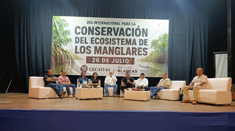 Especialistas llaman a proteger manglares,  hábitat del cocodrilo 