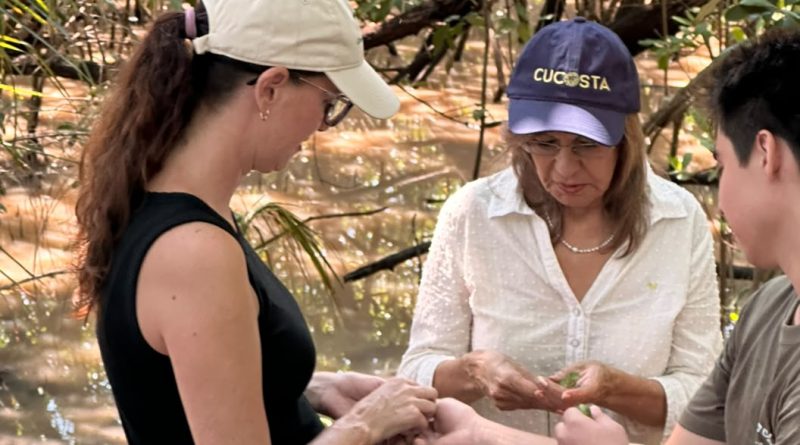 CUCosta participó en la liberación de 180 crías de iguana verde durante el 26 aniversario del Estero El Salado    
