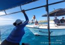 Realizan jornada de limpieza en playas de Punta de Mita y las Islas Marietas