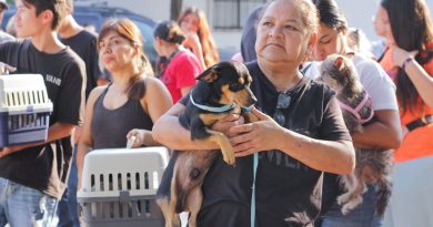 Van más de 2 mil esterilizaciones  a través la unidad móvil veterinaria y continuan en agosto 