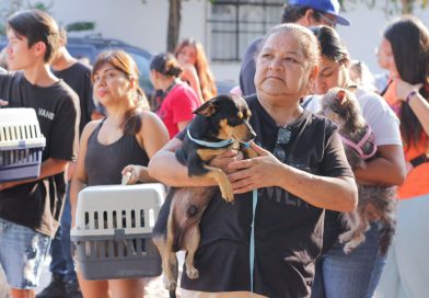 Van más de 2 mil esterilizaciones  a través la unidad móvil veterinaria y continuan en agosto 