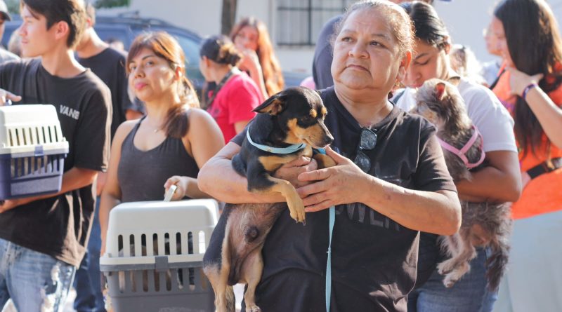 Van más de 2 mil esterilizaciones  a través la unidad móvil veterinaria y continuan en agosto 
