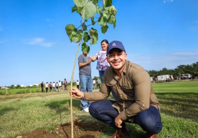 Bahía de Banderas se suma a la Jornada Nacional de Reforestación 2026