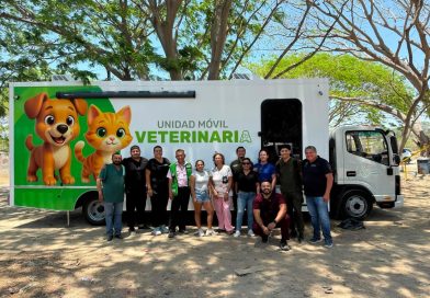 Rescata Bienestar Animal a casi 150 perros y gatos en lo que va del año
