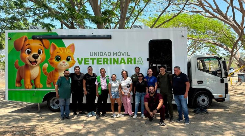 Rescata Bienestar Animal a casi 150 perros y gatos en lo que va del año
