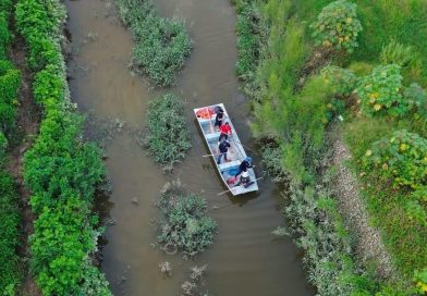 Refuerzan vigilancia para localizar cocodrilos en el canal de Las Mojoneras