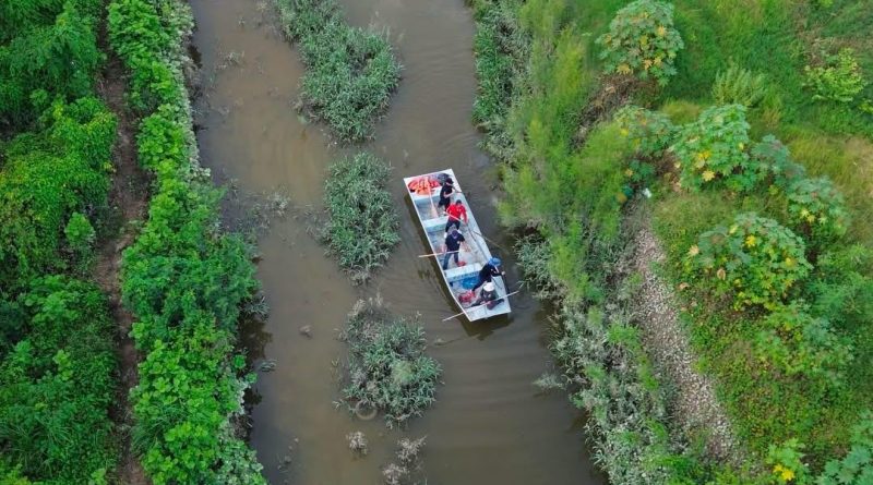 Refuerzan vigilancia para localizar cocodrilos en el canal de Las Mojoneras