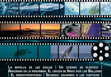 «Documentales para la Vida», propuesta por la conservación