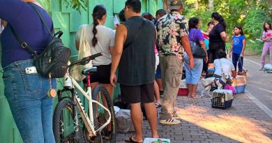 Continúan las esterilizaciones gratuitas en Puerto Vallarta