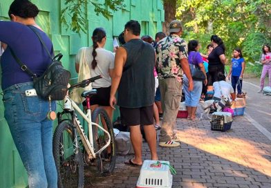 Continúan las esterilizaciones gratuitas en Puerto Vallarta