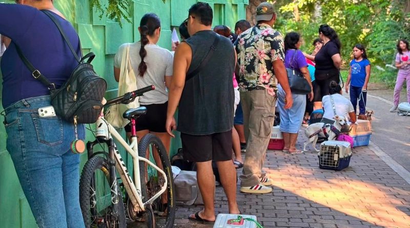 Continúan las esterilizaciones gratuitas en Puerto Vallarta