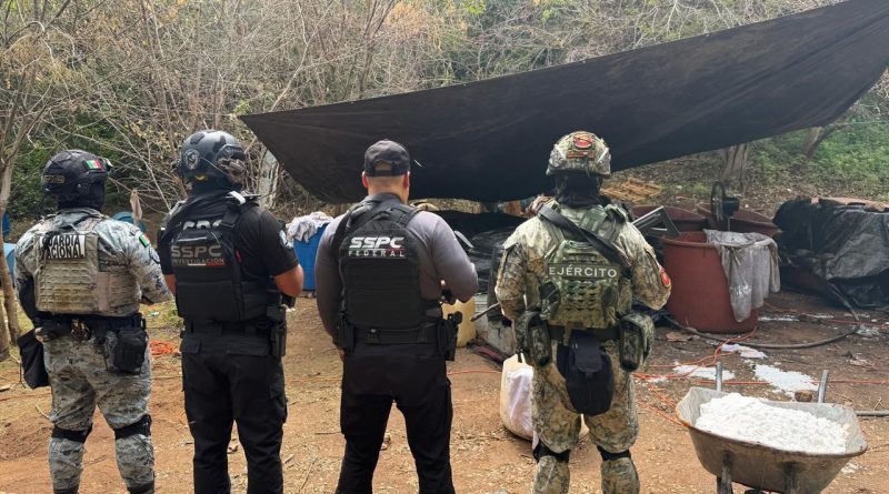 Inhabilitan tres laboratorios clandestinos en Guerrero