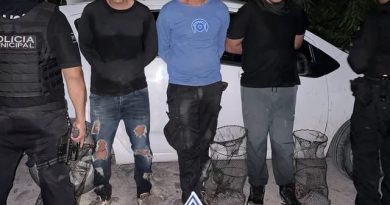 Detienen a tres hombres con una tortuga Casquito de Vallarta y trampas