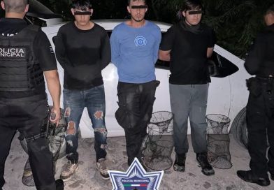 Detienen a tres hombres con una tortuga Casquito de Vallarta y trampas