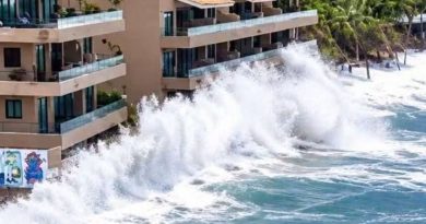 Confirman sanciones impuestas por Profepa contra desarrollo inmobiliario ilegal en San Pancho