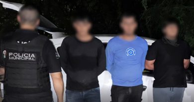 Por primera vez detienen en flagrancia en Puerto Vallarta por captura de tortuga casquito