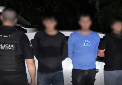 Por primera vez detienen en flagrancia en Puerto Vallarta por captura de tortuga casquito