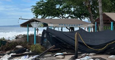 Huracanes Polo y Simón dañan corral de anidación de tortugas en Puerto Vallarta