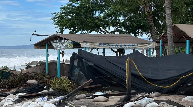 Huracanes Polo y Simón dañan corral de anidación de tortugas en Puerto Vallarta